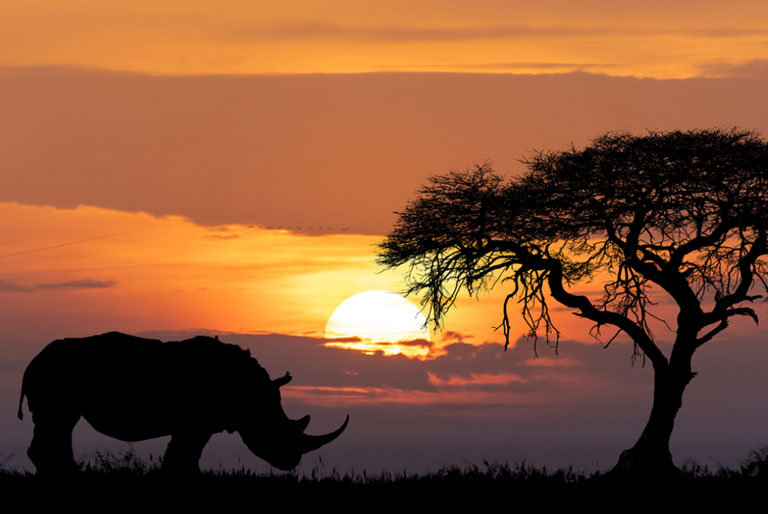 Kurssi 5 Lk Afrikka Aivotmoodle Kurssi 5 Lk Afrikka Aivotmoodle